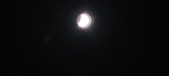 Enlarge photo 708