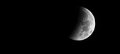 Enlarge photo 715