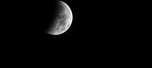 Enlarge photo 717