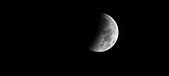 Enlarge photo 718