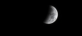 Enlarge photo 719