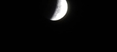 Enlarge photo 724