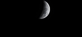 Enlarge photo 729