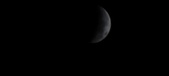 Enlarge photo 730