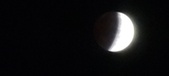 Enlarge photo 732