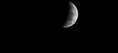 Enlarge photo 733