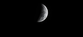 Enlarge photo 735