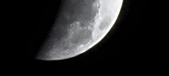 Enlarge photo 736