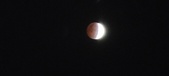 Enlarge photo 737
