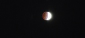 Enlarge photo 738
