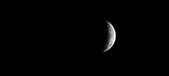 Enlarge photo 742