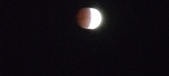 Enlarge photo 744