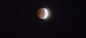 Enlarge photo 745