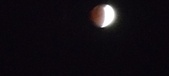 Enlarge photo 746