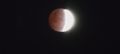 Enlarge photo 748