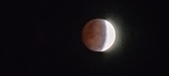 Enlarge photo 749