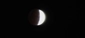 Enlarge photo 751