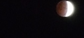 Enlarge photo 752