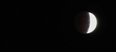 Enlarge photo 754