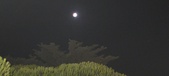 Enlarge photo 756