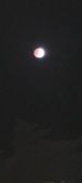 Enlarge photo 760