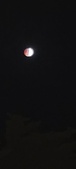 Enlarge photo 761