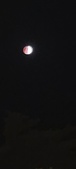 Enlarge photo 762