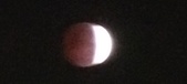Enlarge photo 765