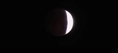 Enlarge photo 769
