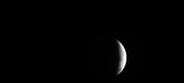 Enlarge photo 772