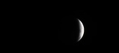 Enlarge photo 773