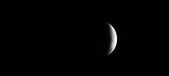 Enlarge photo 775