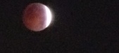 Enlarge photo 777