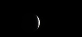 Enlarge photo 779
