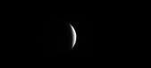 Enlarge photo 780