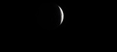 Enlarge photo 781