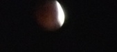Enlarge photo 782