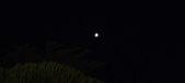 Enlarge photo 783