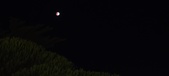 Enlarge photo 786