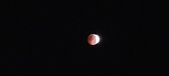 Enlarge photo 787