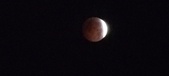 Enlarge photo 788
