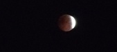Enlarge photo 789
