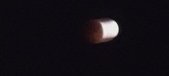 Enlarge photo 791