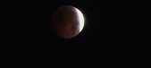 Enlarge photo 792