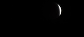 Enlarge photo 793
