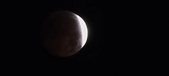 Enlarge photo 795