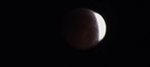 Enlarge photo 796