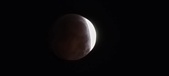 Enlarge photo 798