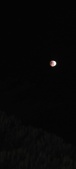Enlarge photo 801