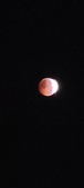 Enlarge photo 800